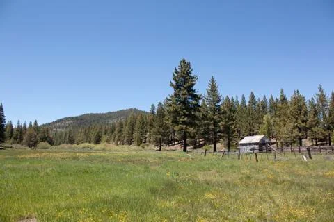 Pld shack in a field during spring Stock Photos