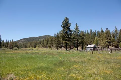 Pld shack in a field during spring Stock Photos