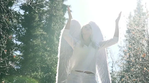 Pleas White Angel Stock Footage 44249640