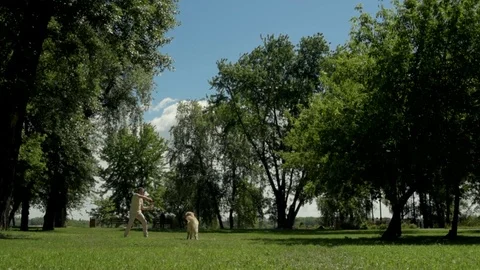 Pleasant man training with his dog Stock Footage