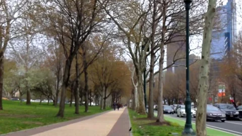 Pleasant soft-focus slow-motion glide on tree-lined downtown Philly sidewalk Vídeo Stock 296263614