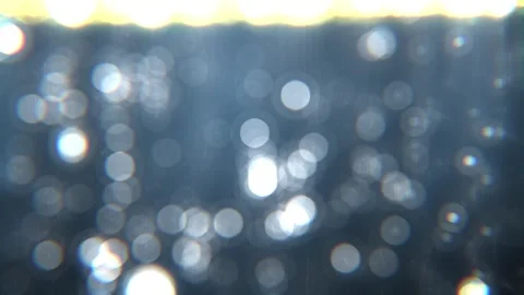 A pleasant summer breeze creates a dazzling canvas of light patches on the Stock Footage 241058055