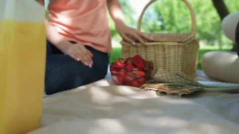 Pleasant woman getting sandwiches from the basket Stock Footage