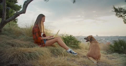Pleasant young female working using laptop smiling with lovely dog in park Stock Footage 138810761