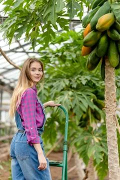 Pleasant young model posing to the camera with exotic tree Stock Photos