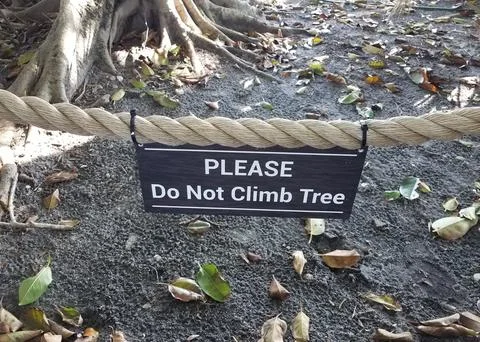 Please do not climb tree sign on rope with tree in background Stock Photos
