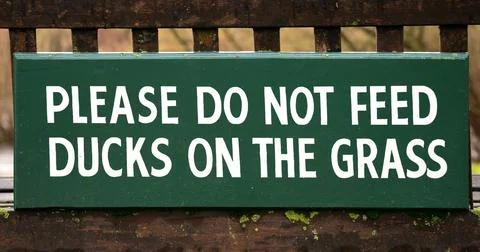 Please Do Not Feed Ducks On The Grass - wooden sign on bench background banne Stock Photos