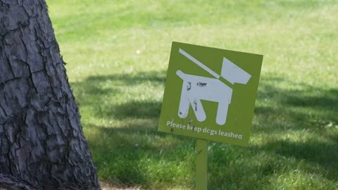 Please keep dog leashed sign Stock Footage 153880995