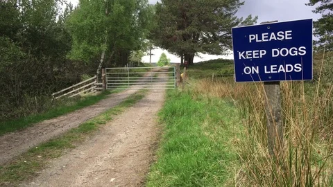 Please keep dogs on lead sign near Carrbridge, Scottish Highlands Stock Footage 76798984
