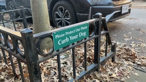 Please Protect Our Plants Curb Your Dog Sign Stock Footage 228690180