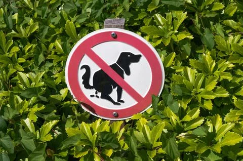 Please remember to respect the space by not allowing your dog to leave wast.. Stock Photos