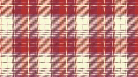 Pled Video stock 354981