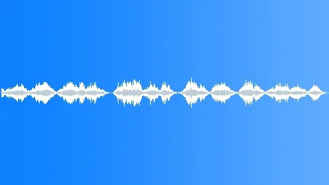 Pledge of allegiance - United States of America Sound Effect