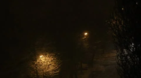 Plentiful night snowfall Stock Footage
