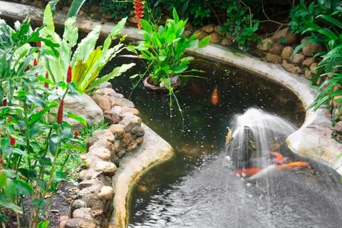 Plentifully garden Stock Photos