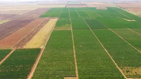 Plenty of broken plots of land with greenery Stock Footage 88510805