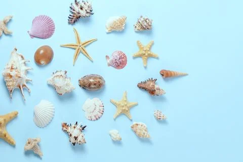 Plenty of different seashells on a blue background. Seaside themed backdrop for Stock Photos