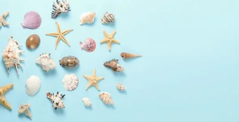 Plenty of different seashells on a blue background. Seaside themed backdrop for Stock Photos