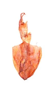 Plenty of dried squids on white background Stock Photos