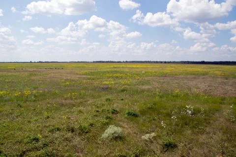Plenty of flat fields and pastures, it is. Stock Photos