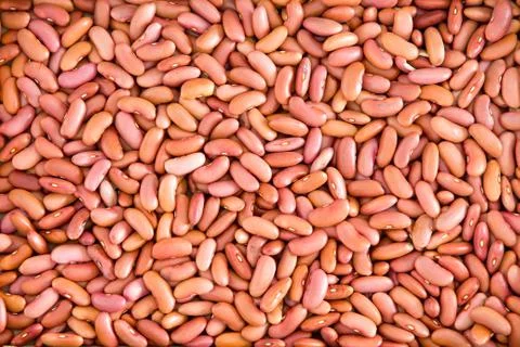 Plenty of Light Red Kidney Beans for Backgrounds Stock Photos
