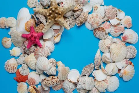 Plenty Nice Exotic Conch Composition Circle Frame Stock Photos