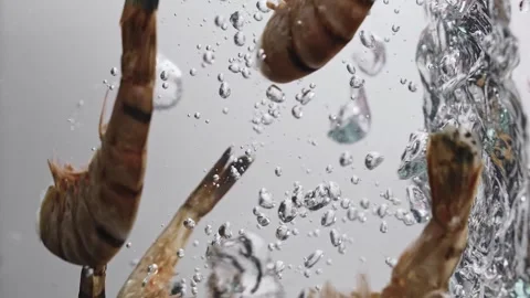 Plenty of tiger prawns are cooked in boiling water in slow motion. Macro shot. Stock Footage 273076630