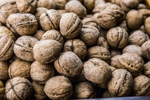 Plenty of walnuts Stock Photos