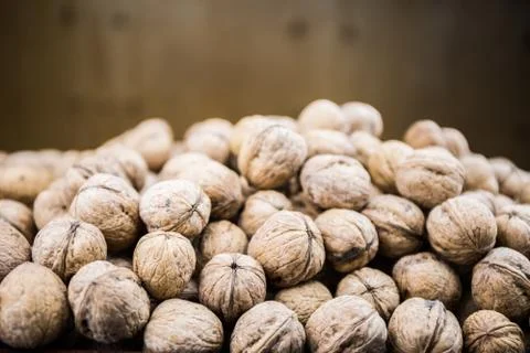 Plenty of walnuts Stock Photos