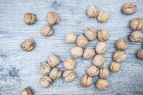 Plenty of walnuts Stock Photos