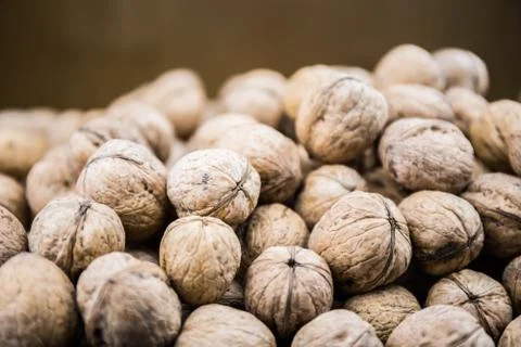 Plenty of walnuts Stock Photos