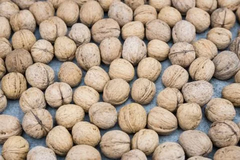 Plenty of walnuts Stock Photos