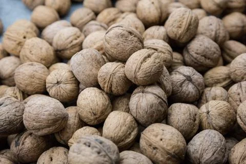 Plenty of walnuts Stock Photos