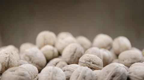 Plenty of walnuts on a table.  Two hands take a lot of nuts. Stock Footage 58480187