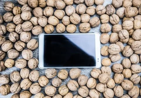 Plenty of walnuts with tablet pc Stock Photos