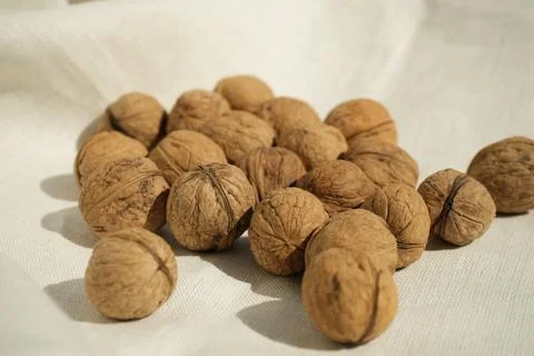 Plenty walnuts on a white tablecloth Stock Photos