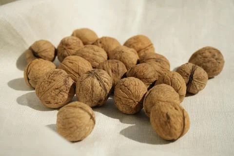 Plenty walnuts on a white tablecloth Stock Photos