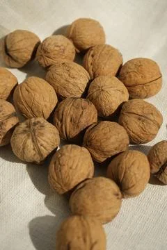 Plenty walnuts on a white tablecloth Stock-Fotos