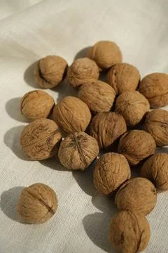 Plenty walnuts on a white tablecloth Stock-Fotos