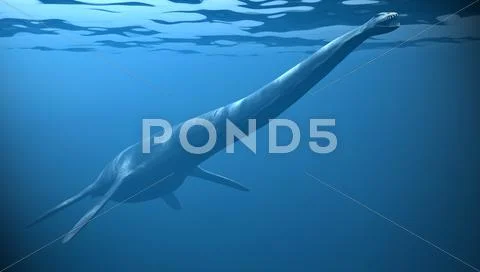Plesio under water copy Stock Illustration