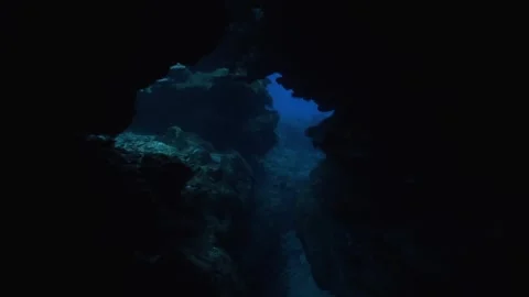 Plesiosaur Herd swims in formation through underwater caves Stock Footage 198024717