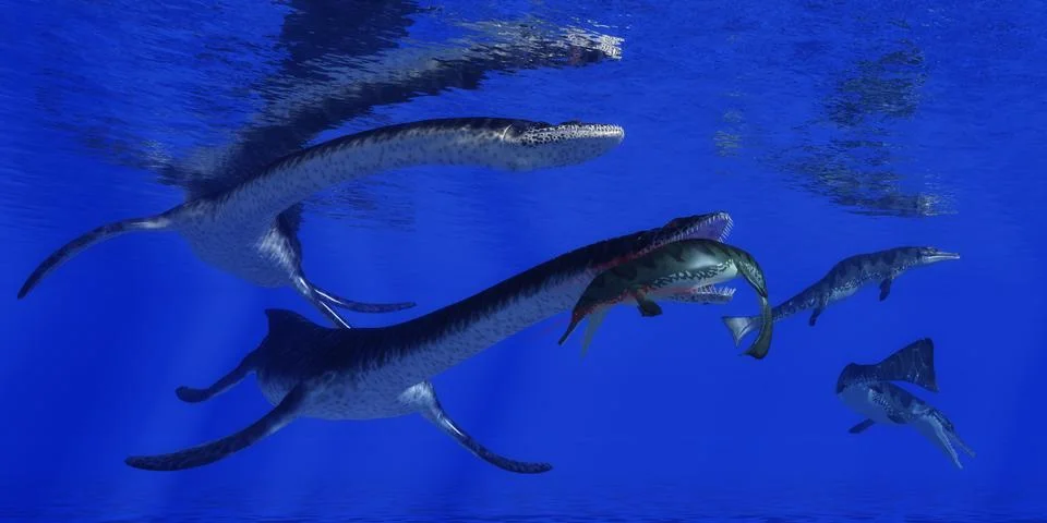 Plesiosaurus Attacks Metriorhynchus 库存插图