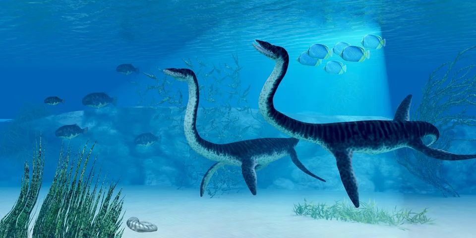 Plesiosaurus dinosaur Stock Illustration