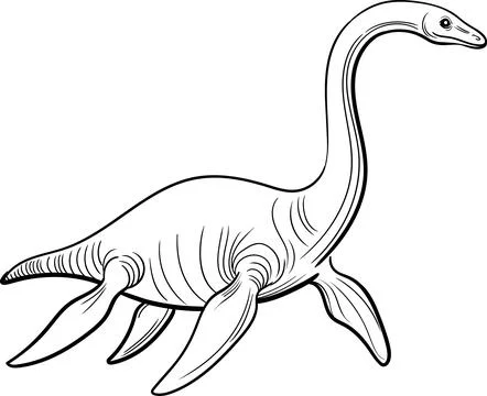 Plesiosaurus, linear illustration. Stock Illustration