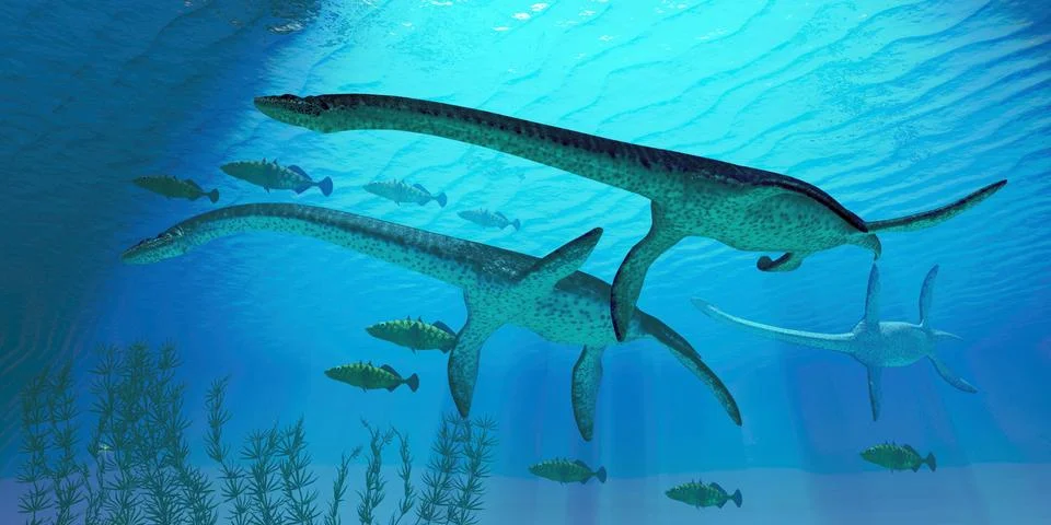 Plesiosaurus migration Stock Illustration