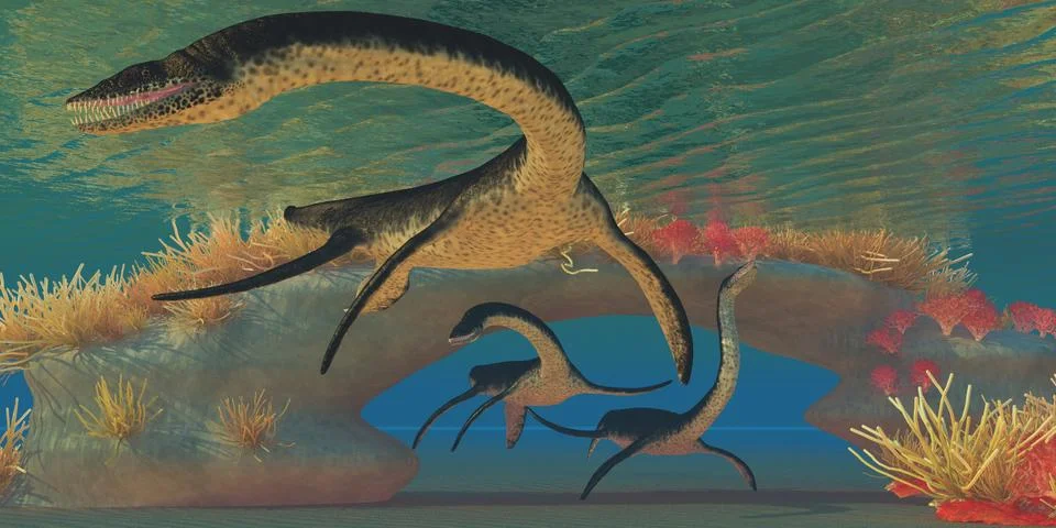 Plesiosaurus sea Stock Illustration