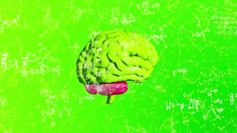 Plexus Brain Formula Video stock 154329292