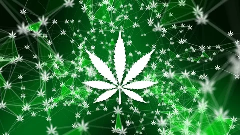 Plexus Cannabis Vidéo 125391863