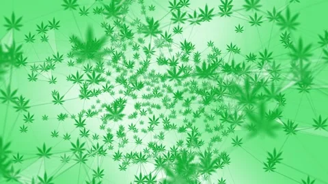 Plexus Cannabis - Light 库存影片 183886028