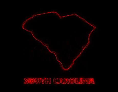 Plexus flat map showing the state of South Carolina from the United State of Stock Illustration